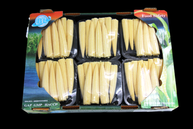 Mini Mais per DOOS X12