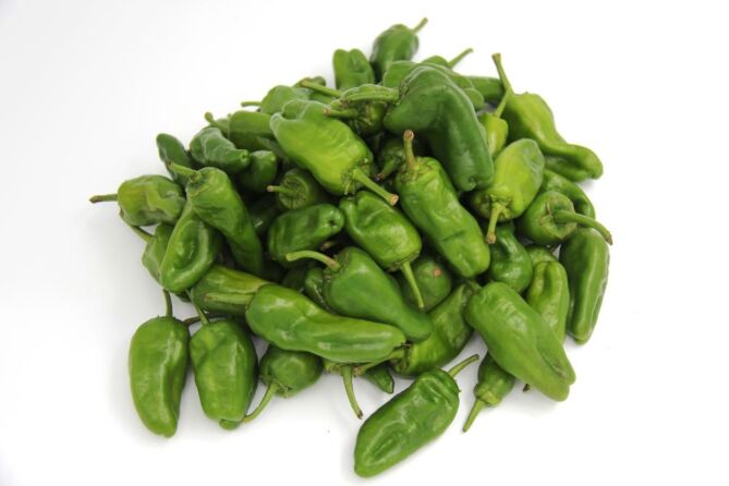 Padron VERS per kg