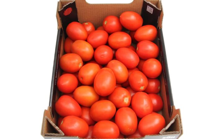 Pomodori INTENSE per DOOS 6KG