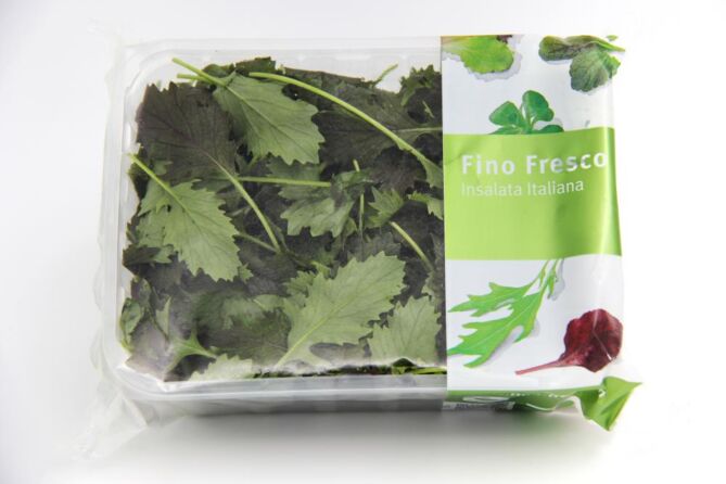 Mizuna ROOD per bakje