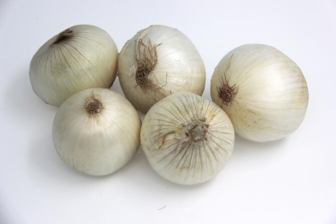 Uien WIT per kg