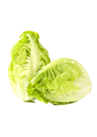 Little Gem GEPLUKT per 1kg