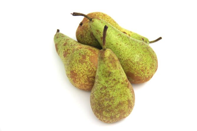 Peren Conference per KG