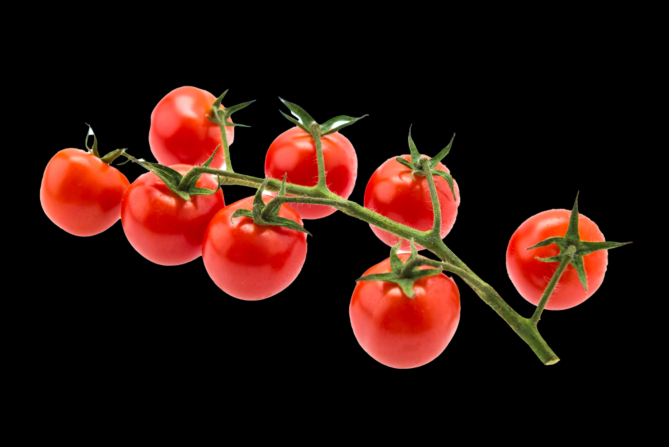 Cherry tros (Amori) per DOOS 3KG
