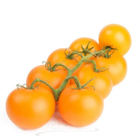 Trostomaten ORANJE per kg