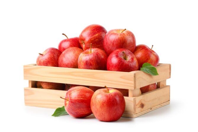 Appel GALA per DOOS 11KG