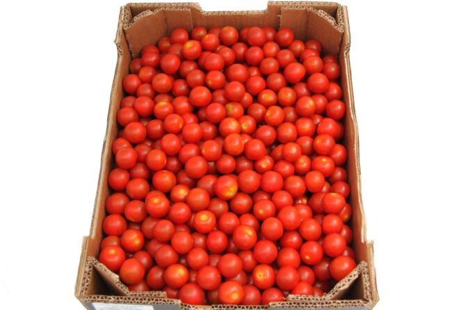 Cherry Tomaat LOS per DOOS 4KG