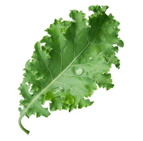 Kavoli Sla (Groen) Bakje 125g