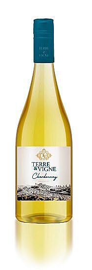 Terre et vigne chardonnay 75cl