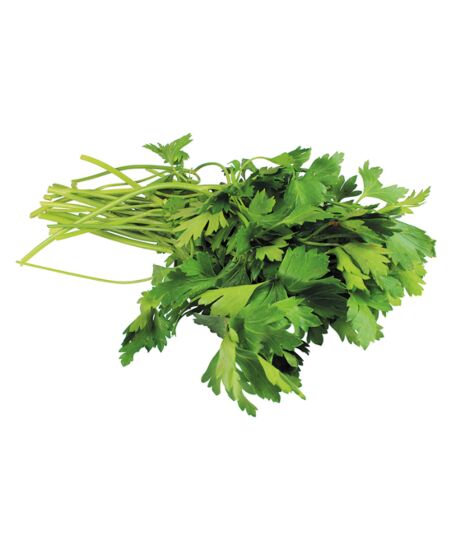Peterselie BLAD per bos
