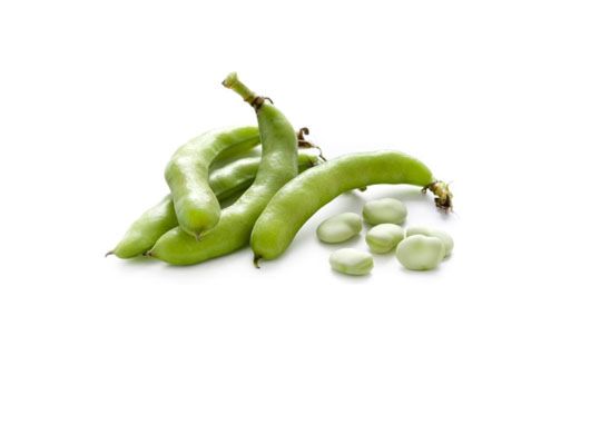 Tuinbonen in schil per kg